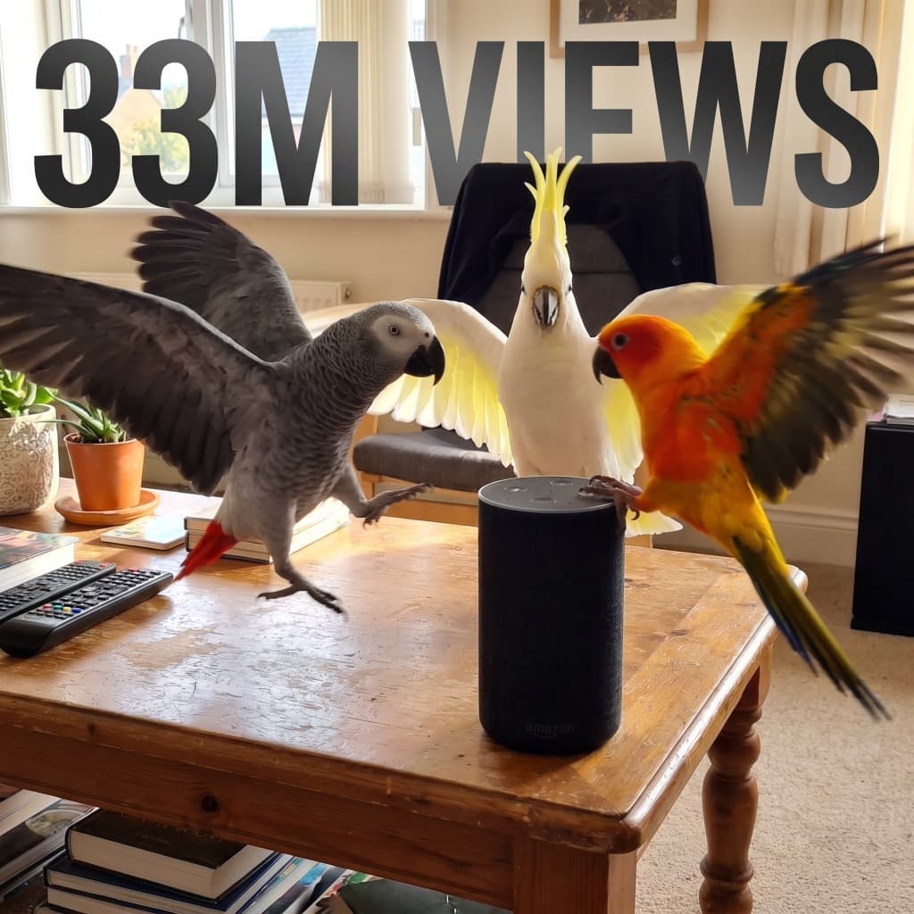 From Zero to 33 Million Views in a Week