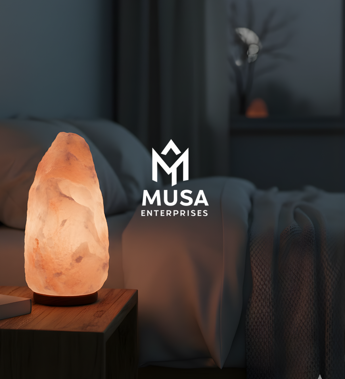 Musa Enterprises - The Salt Company
