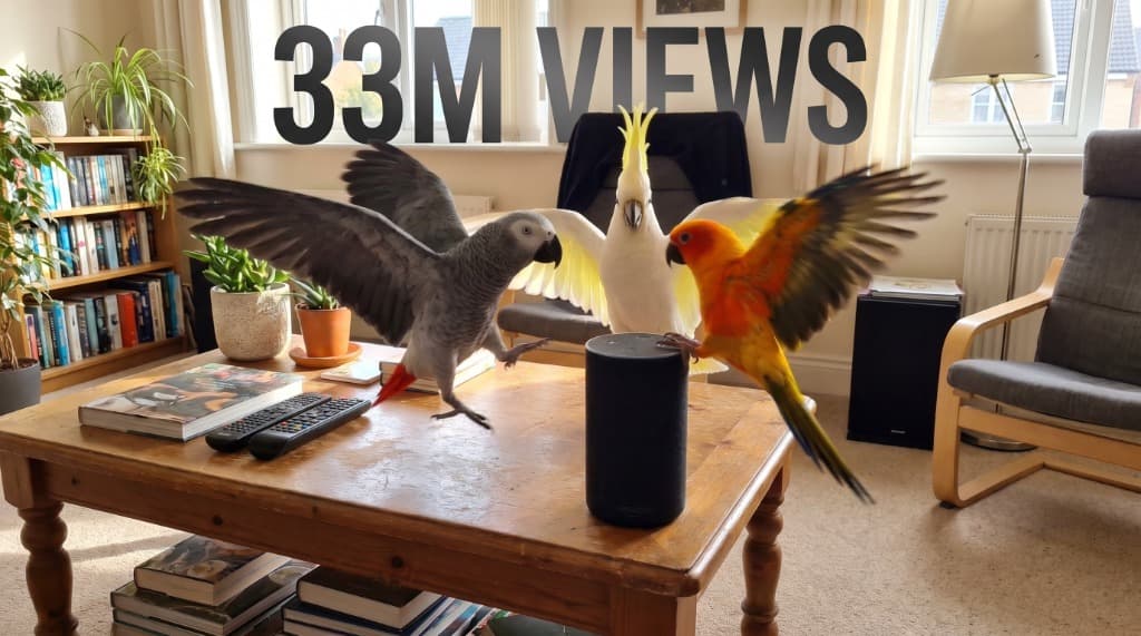 The Funny World — 33 Million Views case study cover